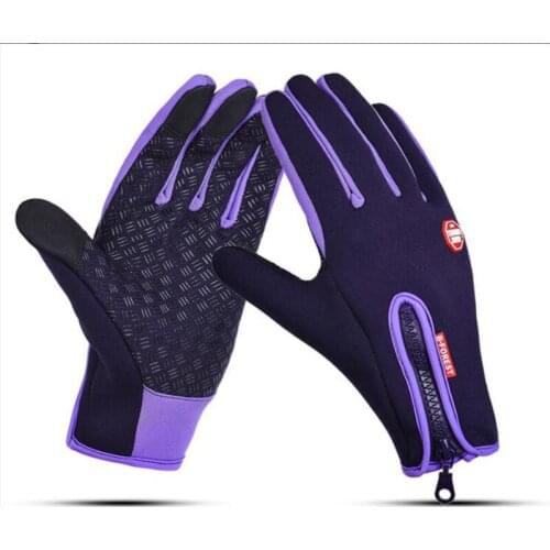 Mountaineering Ski Fishing Waterproof Gloves Men And Women Touch Screen Windproof Riding Gloves Winter Sports Driving Warm Glove