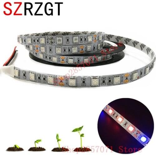 5m LED Plant Grow Strip Light 5050 12V Red Blue 3:1 4:1 5:1 IP20 / IP65 Waterproof For Greenhouse Hydroponic