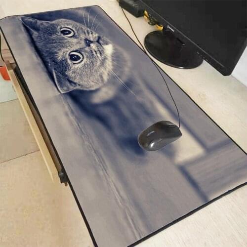 Cute Cat Mouse Pad Gaming Large RGB Computer Mause Pad Gamer Keyboard Mause Carpet Desk Mat PC Game Mouse Pad Dropshipping