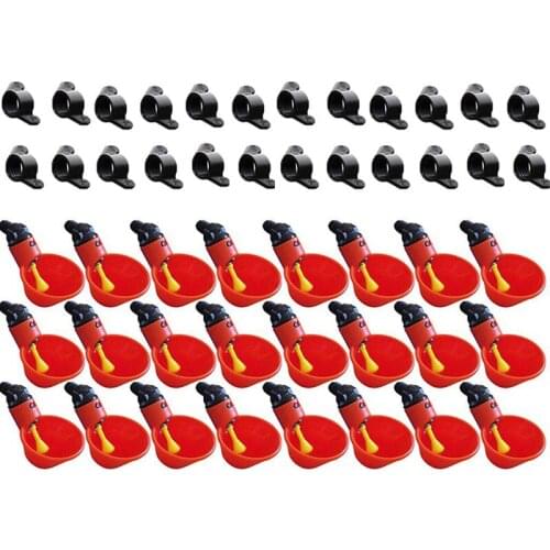 WSFS Hot 24Pcs Feed Automatic Bird Coop Poultry Chicken Fowl Drinker Water Drinking Cups Livestock Drinking Cup Poultry Tools