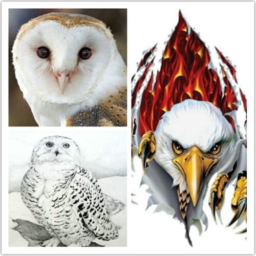 New 5D DIY Diamond Painting Eagle & Owl Icon Full Square Drill Resin Diamond Mosaic Crafts Home Decor 20x25cm