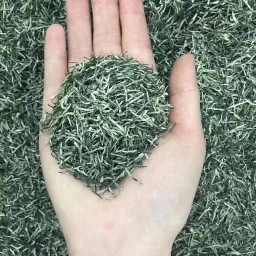 Xinyang Maojian 21 New Tea Mingqian Tender Bud Alpine Tea Spring Tea Premium Tea Authentic Fragrant Green Tea