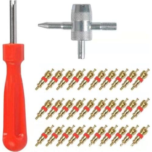 32 Pcs Single Head Valve Cores Removers with 4 in 1 Tyre Valve Repair Tool Multifunction Repair Modification Accessories