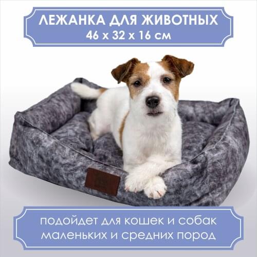 Russia Eco Store Pet Supplies