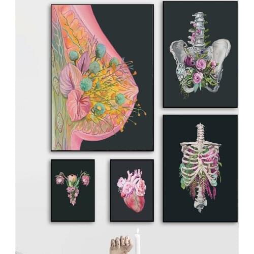 Anatomical Art Breast Heart Pelvis Thoracic Cage Uterus Canvas Painting Nordic PostersWall Pictures For Doctor Office Decor