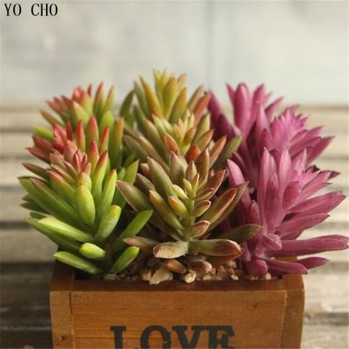 4 kinds Artificial fleshiness Echeveria Plants Grass Desert Succulent plant microlandschaft Christmas decorative flower for home