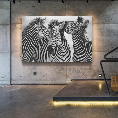 Animal Zebra Posters and Prints Nordic Canvas Art Painting Home Decor Wall Art Picture for Modern Living Room Art Decor Painting