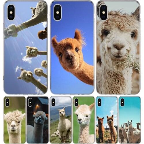 Llama Alpacas donkey Animal Phone Case for Apple iphone 11 12 Mini Pro XR X Xs Max 7 8 6 6s Plus 7G 6G 5G 5S 5 SE + Customize Co