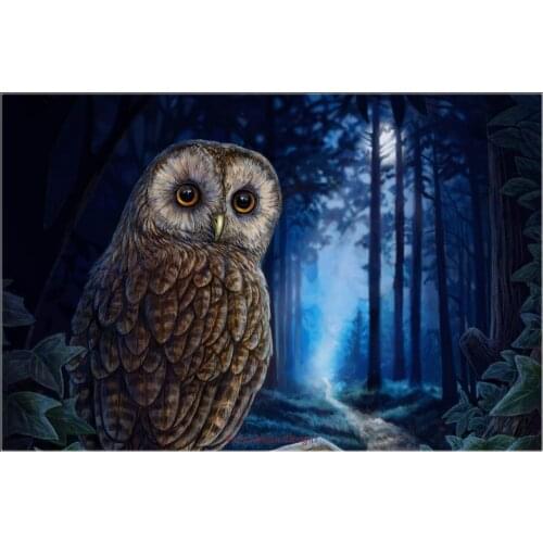 Embroidery Counted Cross Stitch Kits Needlework - Crafts 14 ct DMC Color DIY Arts Handmade Decor - Moonlit Owl