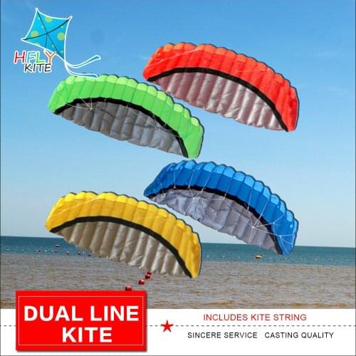 New arrival 2.5m dual line sunt kite soft inflatable for audlts outdoor fun toys animal kites free shipping