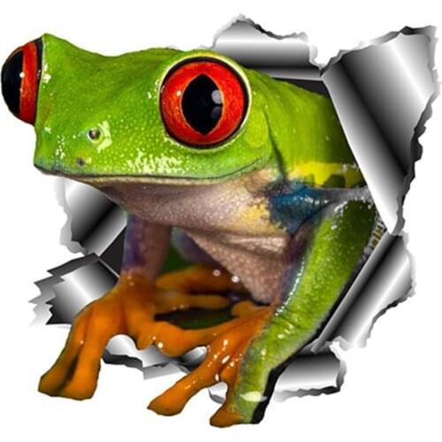 Car 3D green frog stickers, motorcycle helmet stickers, bumpers, external accessories. Vinyl cover, scratch, raincoat, PVC
