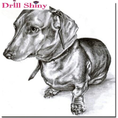 Diamond embroidery animal dog diy 5d diamond painting sets drill bead cross stitch crystal embroidery diamond mosaic gifts