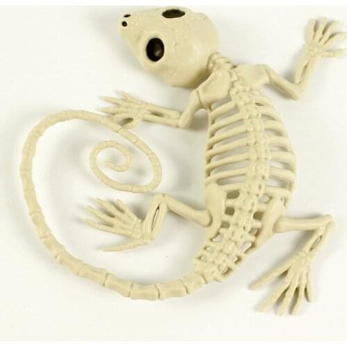 Halloween skeleton Skull Decoration Home Wall Table Hanging Skull Props for Halloween Party Decoration Haunted House Decor Tools