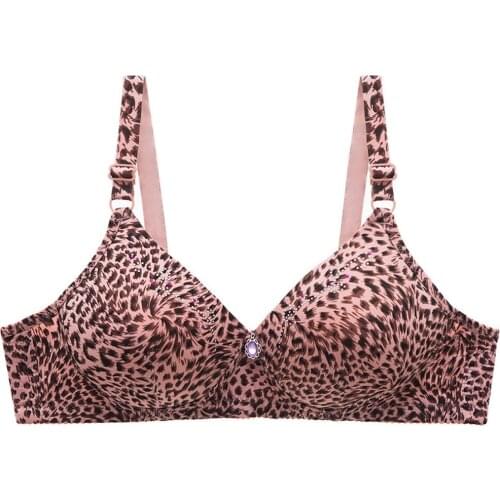 Seamless Bras for Women Push Up Bra Wireless Brassiere BC Cup Underwear Sexy Leopard Print Bra Top Intimate Comfortable Lingerie