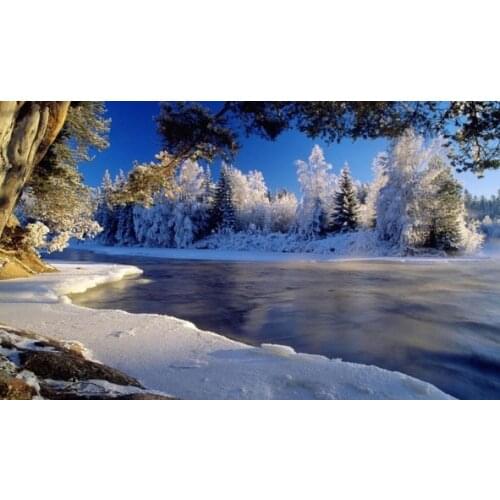 C07849 11CT/14CT/18CT/25CT/28CT oil scenery patterns Counted Cross Stitch DIY Cross Stitch Kits Embroidery Needlework Sets