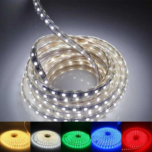 Waterproof 5050 SMD Led Tape AC 220V flexible Led Strip Holiday Light Desk Lamp Book Bulb Outdoor Garden Lighting With EU Plug