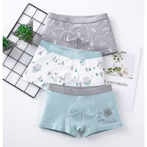 3pcs/lot Briefs for Boys Kids Boys Underwear Cartoon Childrens Shorts Panties for Baby Boy Boxers Stripes Teenager Underpants