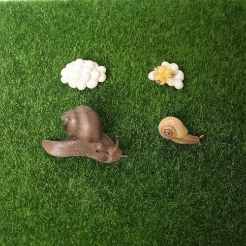 Snail Diagram Miniature Garden Decoration Collector Educational Toy Realistic Resin Snail Animal Model Life Cycle
