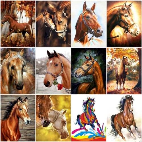 60x75cm Diy Frame Oil Picture By Numbers HandPainted Horse With Animal Acrylic Paint Color On Canvas Home Wall Painting Decor