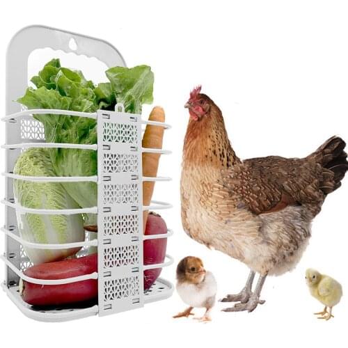 Chicken Vegetable Basket Folding Veggie Hanging Feeder Vegetable Baskets For Hens Chicken Coop Dropshipping