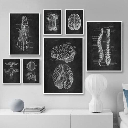 Human Anatomy Artwork Medical Wall Picture Skeleton Organ Muscle System Vintage Poster Canvas Print Body Education Painting
