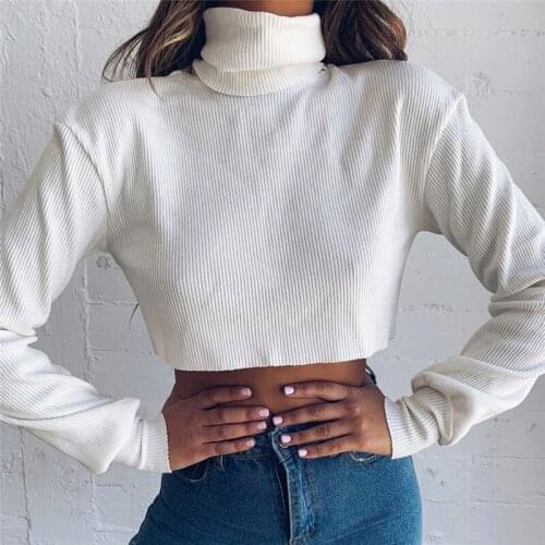 LaStylisher Women Crop Top Long Sleeve Knitted T Shirt Sexy Turtleneck Loose Tee Shirt Female Ladies Party Club Tops Streetwear