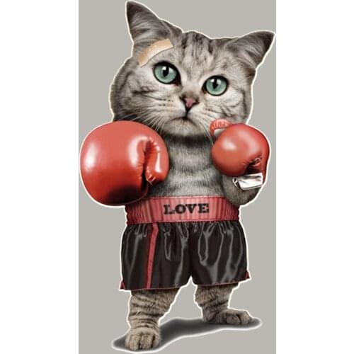 Boxing Cat Clothing Badges Patches Appliqued Heat Transfer Vinyl Diy Tops Fashion Patches Print On T-Shirt Socks Bags