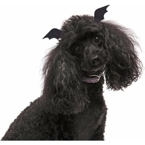 2 Pcs/Set Pet Dog Hair Clip Creative Puppy Kitten Hair Clip Devil Wings Decor Dogs Hair Clip Decoration For Halloween Party