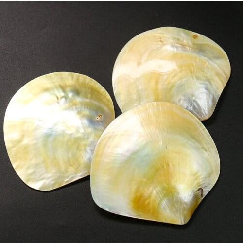 1PC 9-11CM Natural Rare Yellow Shell Mother of Pearl Seashell Specimen Jewelry Tray Ocean Beach Wedding Home Decor Caviar Plate