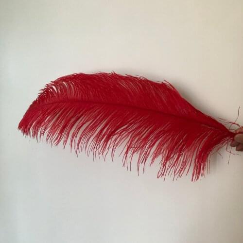 10PCS 55-60CM Big Pole Ostrich Feathers Red Color Dyed Natural Ostrich Tails Plume Pluma Wedding Centerpieces Carnival Crafts