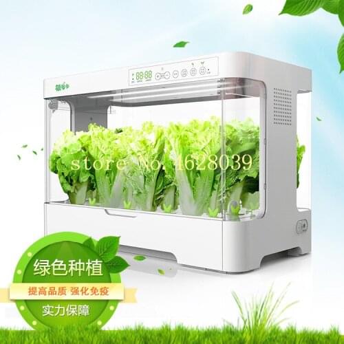 Oxygen Supply Electronic Water Cultivate Vegetable Seed Planting Enclosed Case Box Soilless Soil-Free Cultivation Equipment