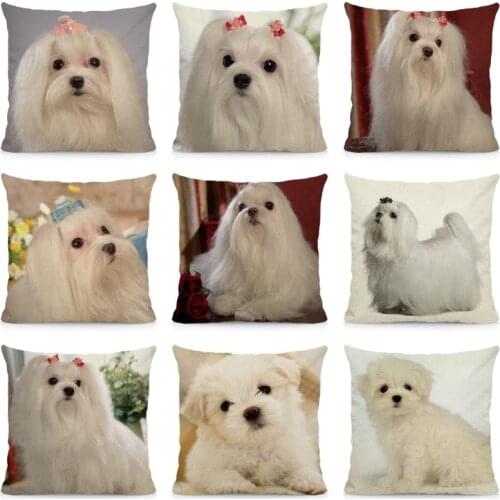 Cushion Cover 45x45cm Maltese Pillow Case Dog Pattern Decorative Pillows Sofa Car Chair Decor DWG047