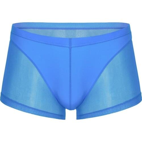 Sexy Gay Underwear Men Boxer Shorts Solid Ultra-thin Transparent Mesh Low Rise U Convex Pouch Underpants Cueca calzoncillo S-XL