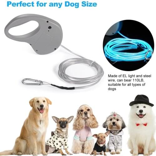 ABS LED Light Up Pet Dog cat Leash Night Safety Flashing Glow In Dark Heavy Duty Luminous Dog Walking Traction Rope Pet Supplies