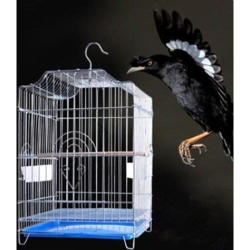Bird cage myna xuanfeng myna parrot thrush bird cage pigeon cage breeding cage
