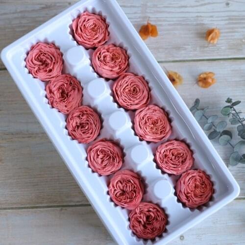 10pcs Preserved Fresh Flower Domestic Austin 3-3.5cm Flat Head Austin Rose Box Raw Material Car Hanging Garland DIY