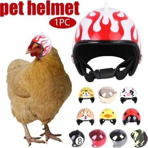 1PC Funny Protection Chicken Helmet Hen Pet Supplies Funny Protection Chicken Helmet Hen Hard Hat Bird Hat Headgear Poultry Acce