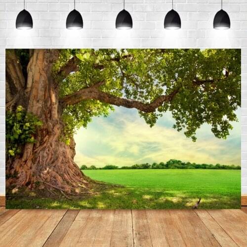 Laeacco Spring Old Tree Green Grass Filed Natural Scenic Photography Backgrounds Photographic Backdrops For Photo Studio