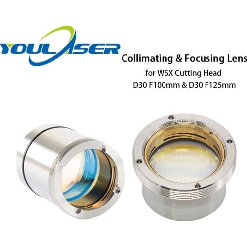 Fiber Laser Focus Lens D30 F100 F125mm with Lens Holder for WSX Laser Cutting Head WSX-GQ-JT-02 2000W 4000W 0-4KW