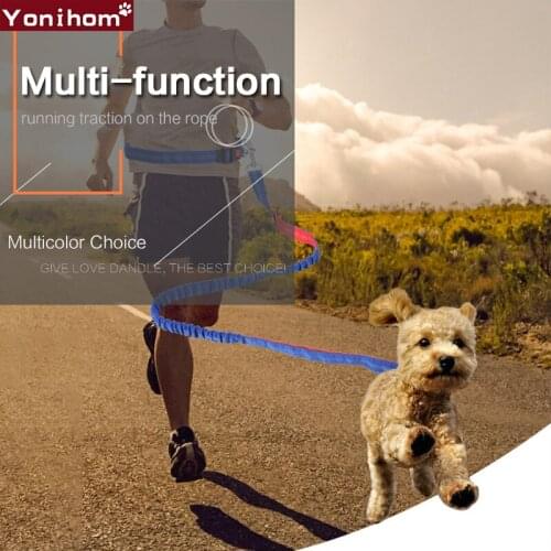 Hands Free Waist Pet Dog Leash Running Jogging Dog Leash Long Elasticity Dogs Harness Collar Jogging Lead Adjustable Waist Rope