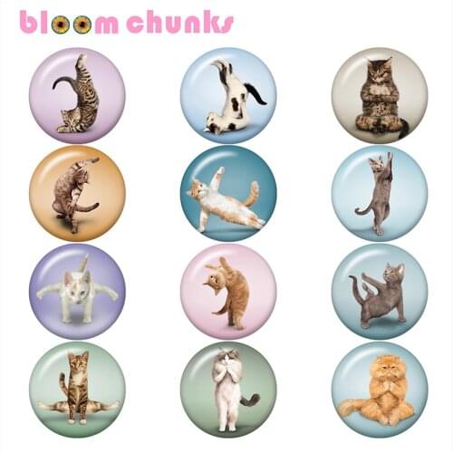 Cat Yoga Hot sale 12mm/18mm/25mm/40mm Round photo glass cabochon demo flat back Making findings B5667