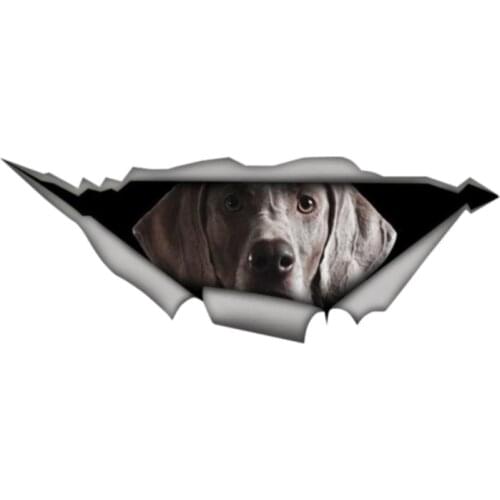 B0746# Self-adhesive Decal Weimaraner Car Sticker Waterproof Auto Decors on Bumper Rear Window Motorcycle Laptop