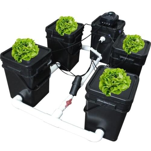 Plant hydroponics system RDWC clone bucket drip irrigation 4 buckets air pump and cycle pump