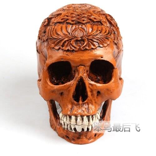 Antique brown Egypt 1: 1 human skull model life size resin skull model art teaching human skeleton model free shipping