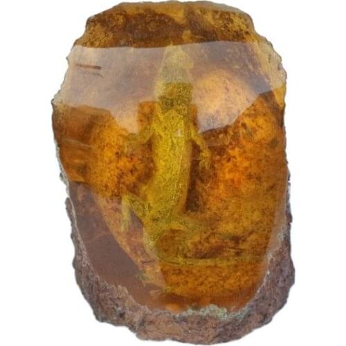 Amber specimen small animal living protolith Gecko Lizard chongpo rare fossil ornament