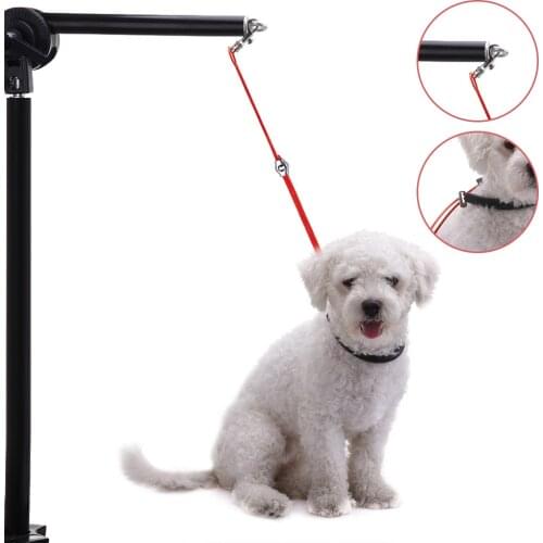 Pet Dog Grooming Unit Wire Rope Cable For Small And Medium Dog Beauty Blowing Hair Dog Collar Dogs Neckleck Supplies Decoration