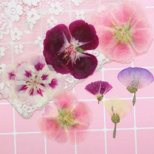 Dried Flower Embossed Plant Specimens DIY Handmade Pressed Flower Photo Frame Epoxy Real Flower Material