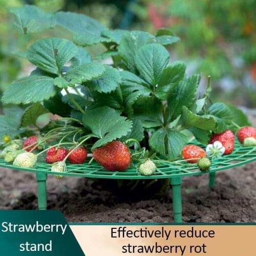20/10/5 PCS Strawberry Stand Frame Holder Balcony Planting Rack Fruit Support Plant Flower Climbing Vine Pillar Gardening Stand