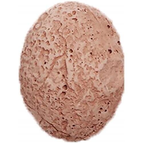 Dinosaur Egg Model Diging Toy Funny Activity Learning Toy Gifts for Children