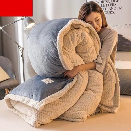 High quality Quilt+Core 2pcs Duvet King Queen Twin Full size Luxury Winter Thicken Warm Blanket quilts bedding Comforter Filler